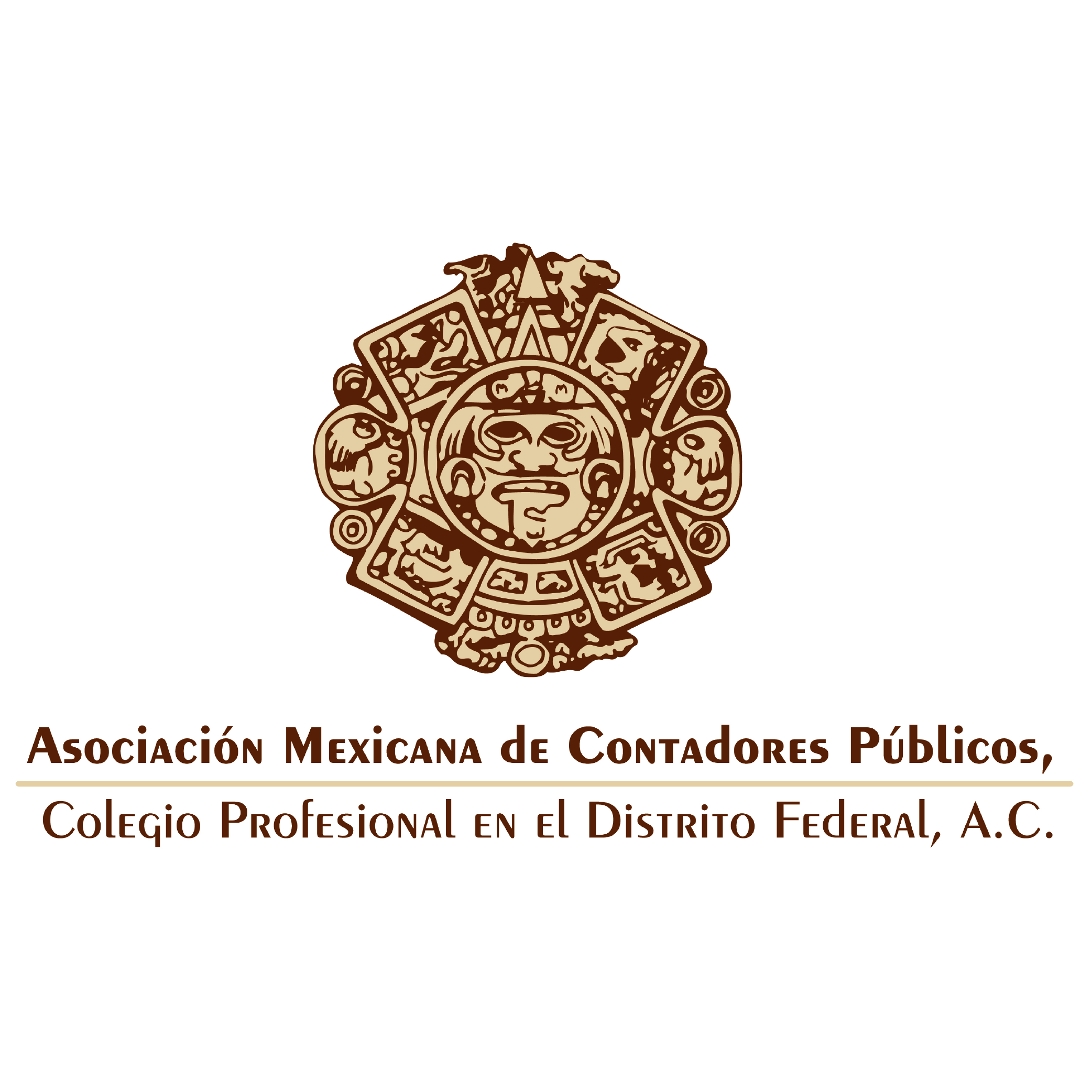 Asociación Mexicana de Contadores Públicos